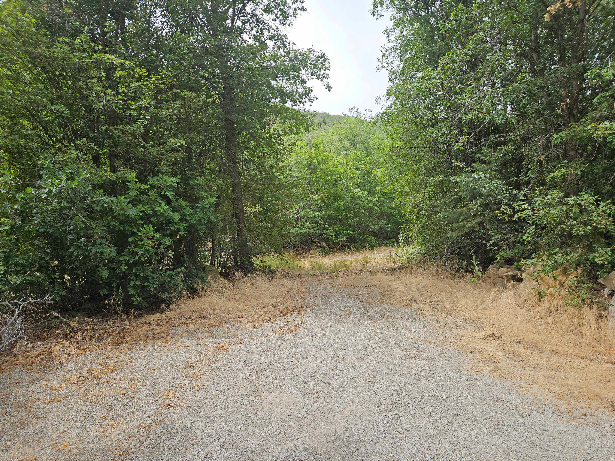 46 S UPPER BIRCH CREEK RD