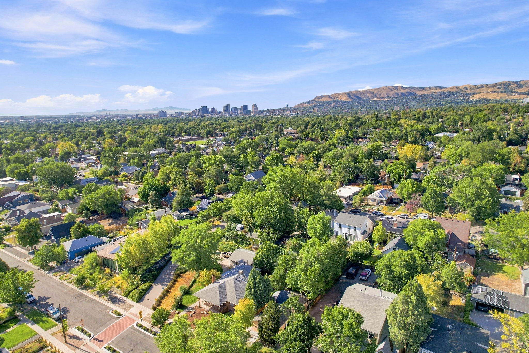 Aerial perspective showcasing a residential neighborhood with mature trees, distant mountains, and a city skyline