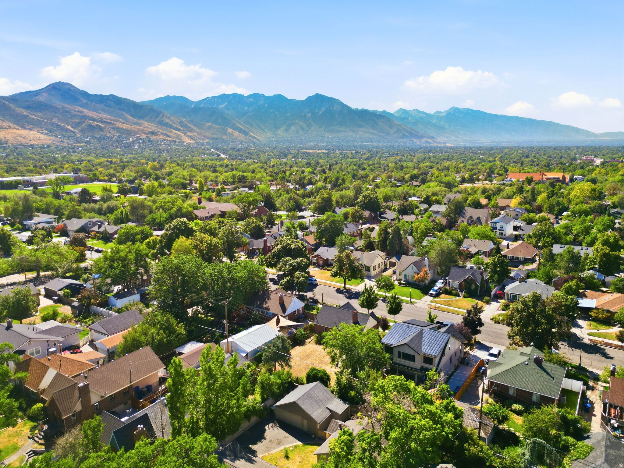 Residential neighborhood with mature trees and mountain backdrop