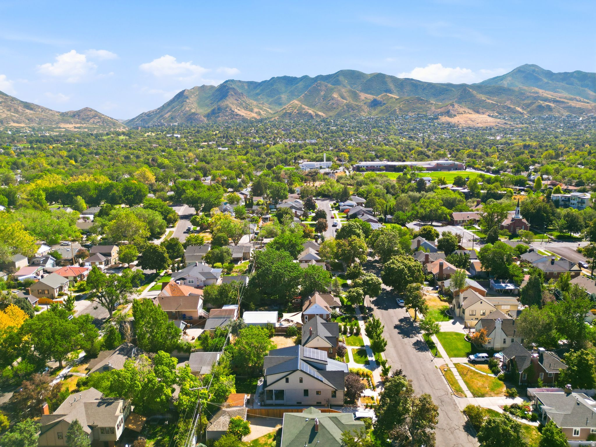 Aerial perspective showcasing a residential area with mature trees and a distant mountainous backdrop