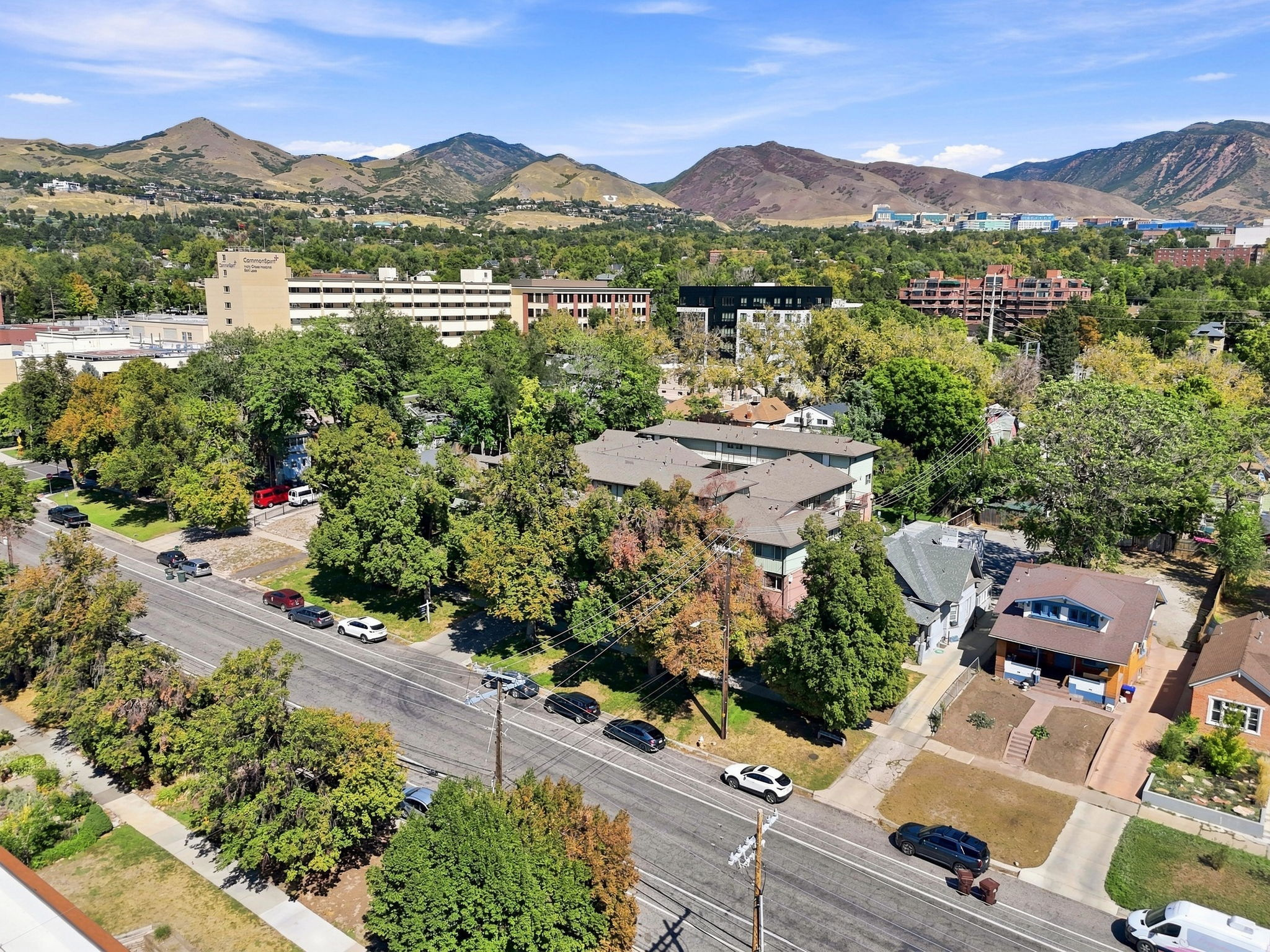 Residential area with mature trees, established roadways, and distant mountain backdrop