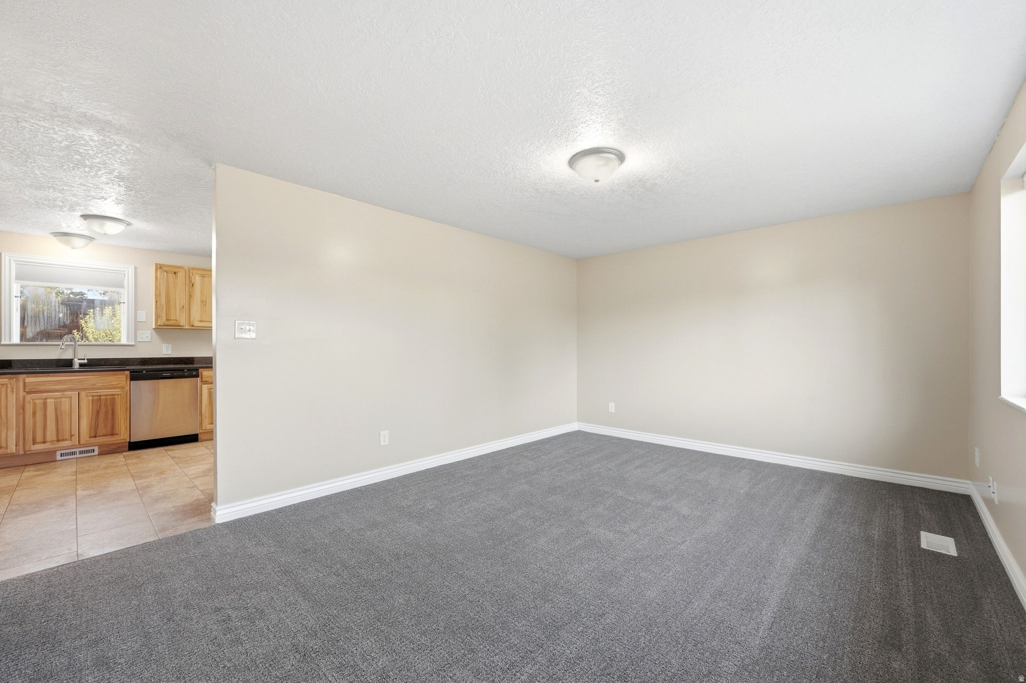 Carpeted living area featuring a ceiling-mounted light fixture