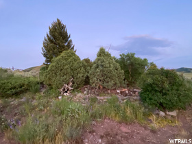 Photo 4 for 2406 Smokey Canyon Rd