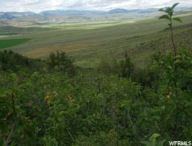 120 N Wy Statle Line 89 MLS #1840776