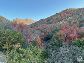 1200 S South Pole Canyon Road MLS #1862709