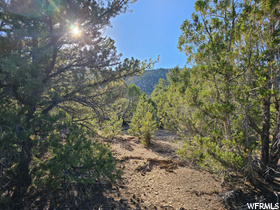 Address Not Available MLS #1888379