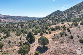 Photo 4 for 4233 Hwy 219