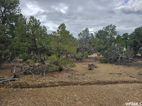 Address Not Available MLS #1889192