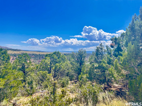 9  Lot 120 Cedar Mt. MLS #1895457