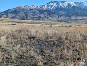 500 S Silver Ave MLS #1978721