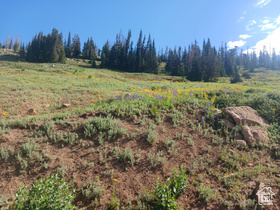 170 E Whispering Pines Dr MLS #1986178