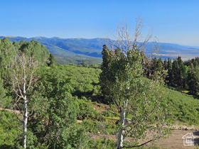 Photo 6 for 53 N Deer Valley Dr #K53