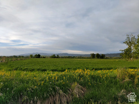 302  4th MLS #1989385