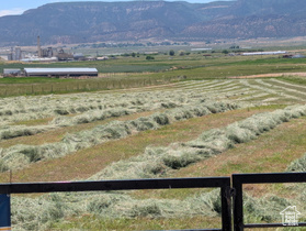 Address Not Available MLS #1990659