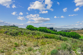 Photo 4 for 3228 Wapiti Canyon Rd #54