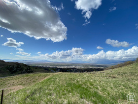 1045 S Plum Tree Ct MLS #2002341