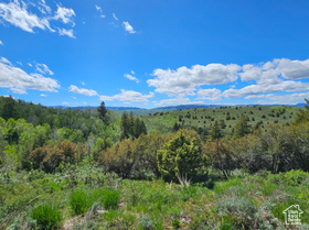 Address Not Available MLS #2006788