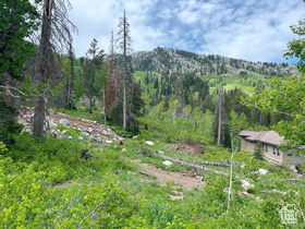 12176 E Big Cottonwood Canyon Rd MLS #2007492