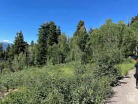 56  K Quaking Pine Cir MLS #2007892