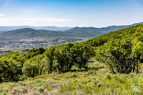 1625 W Red Hawk Trl MLS #2009362