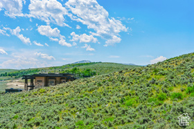 5991  Painted Valley Pass MLS #2017088