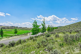 6237  Painted Valley Pass MLS #2017102