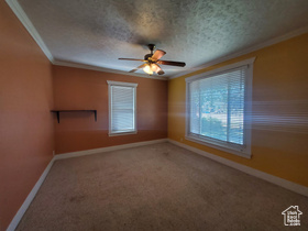 Photo 3 for 268 S 4th St