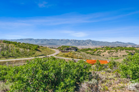 Photo 4 for 3575 E Wapiti Canyon Rd