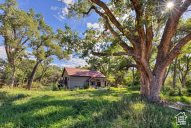 Photo 6 for 2927 S East Bench Rd