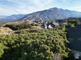 1463 E Meadow Bluff MLS #2025237