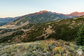 1293 E Fawn Pointe Ct MLS #2025390