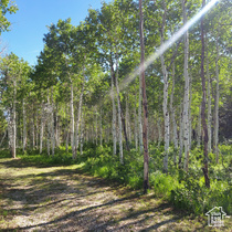 1 E Powder Mtn Cir MLS #2029304