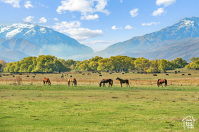 Address Not Available MLS #2031557