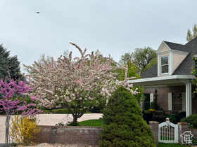 Photo 4 for 301 S Rachel Ln