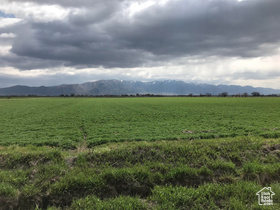 10000 W 10400 N MLS #2033691