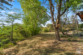 Photo 6 for 10665 S Dimple Dell Dr