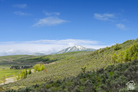 6393  Painted Valley Pass MLS #2057154