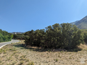 15 S Bentwood Ln MLS #2058807