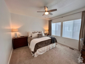 Photo 6 for 10052 N Marigold Ln