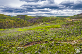 4323  Galts Gulch MLS #2060131