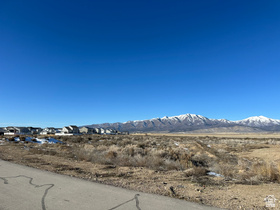 8029 N Bristle Cone Rd MLS #2061012