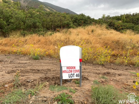 278 E Maple Ridge Rd MLS #2061144