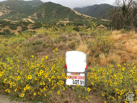 3617 S Mapleton Estates Dr MLS #2061203