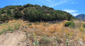 3647 S Riverstone Rd MLS #2061212