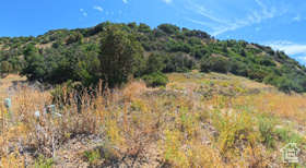 3635 S Riverstone Rd MLS #2061214