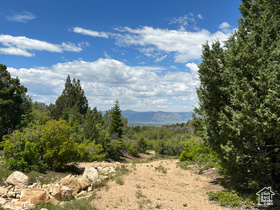 1050 W Meadow Rd MLS #2061308