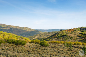 2889  14th View Cir MLS #2061312