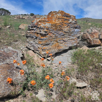 6362 N Glenmar Way MLS #2062044