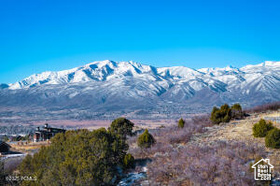 1400 N A1 Peak Dr MLS #2062533