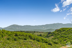 8761  Silver Light Ln MLS #2063717